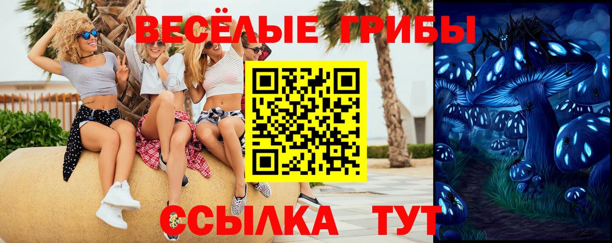 Псилоцибиновые грибы Cubensis Кимры