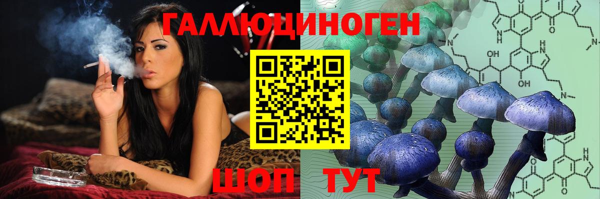 Кимры  Псилоцибиновые грибы мицелий  Вход с VPN 