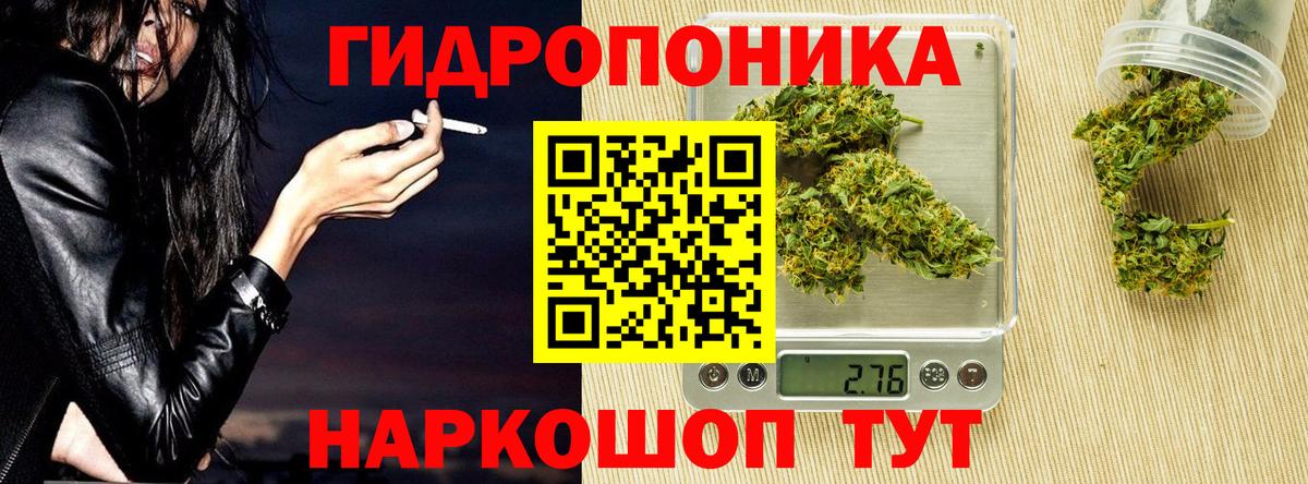 Бошки Шишки OG Kush  Шишки марихуана гибрид  Каннабис планчик  Шишки марихуана индика  Кимры  Вход с VPN 